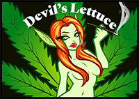 Devil's Lettuce