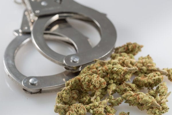 Legalizing Marijuana Helps Police Solve Other Crimes, New Study Shows