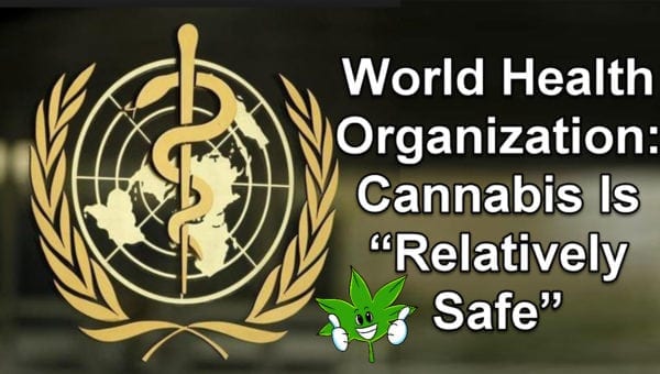 World Health Organization: Cannabis Is “Relatively Safe” WHO Slams USA For Having a Schedule 1 Listing