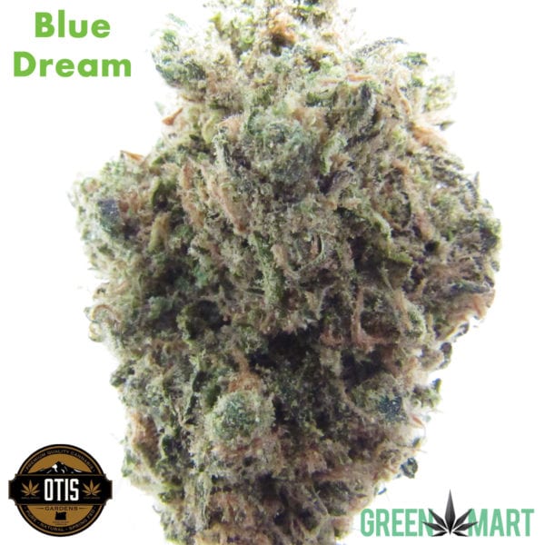 Otis Gardens - Blue Dream