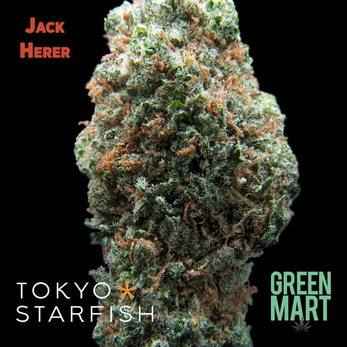 Jack Herer by Tokyo Starfish
