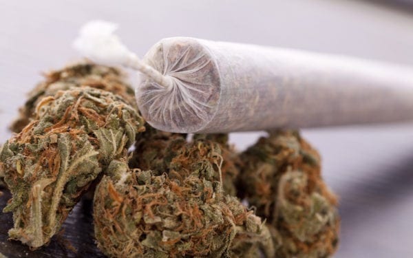 Full Gram Pre-rolls