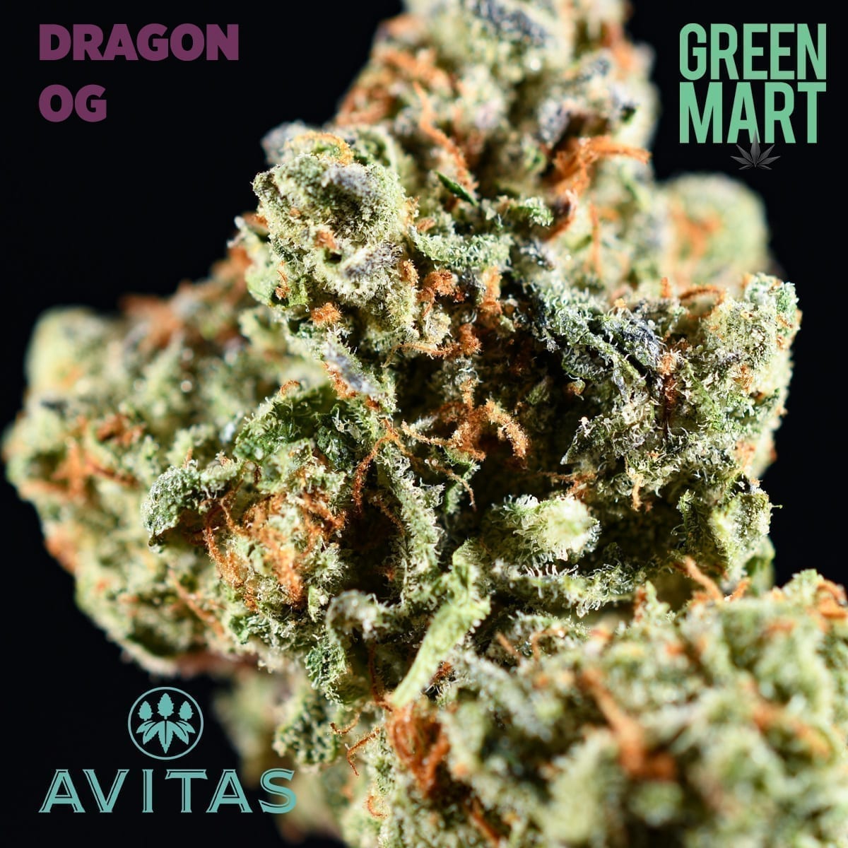 Dragon OG by Avitas