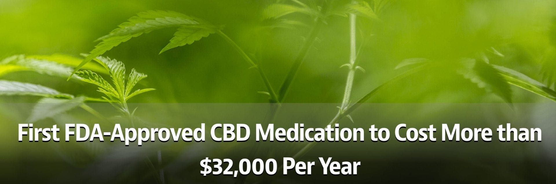 First FDA-Approved CBD Medication to Cost More than $32,000 Per Year