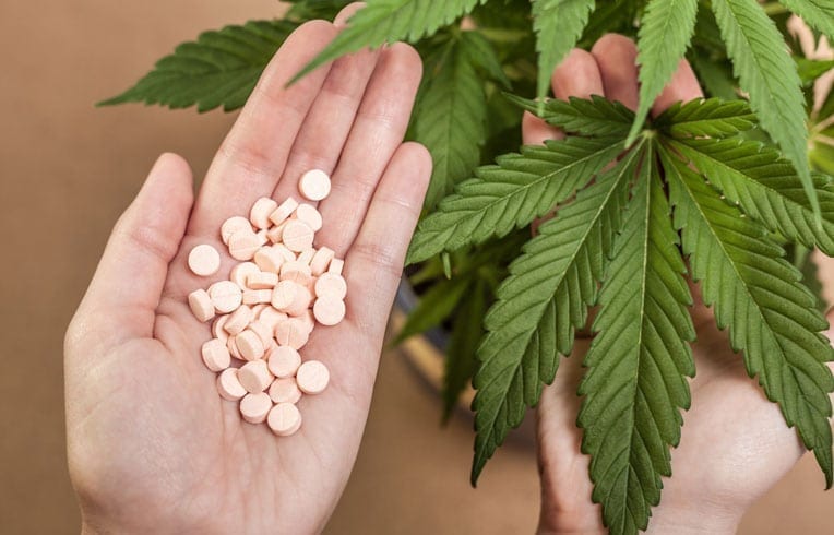 DEA Wants More Marijuana Grown And Fewer Opioids