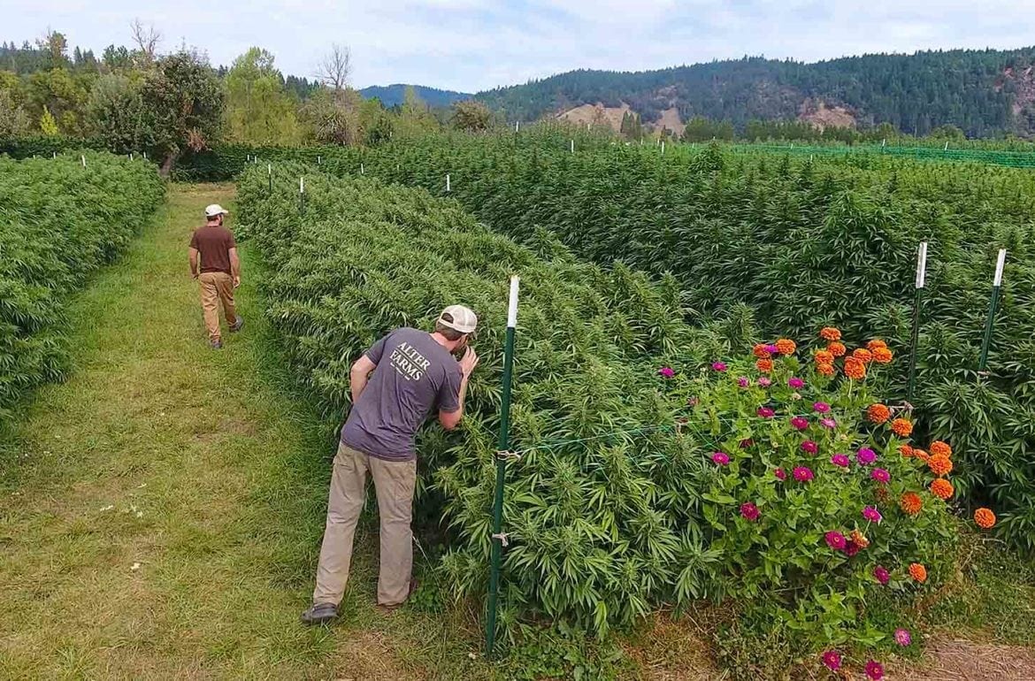 ‘Dirt Is Inert, Soil Is Alive’