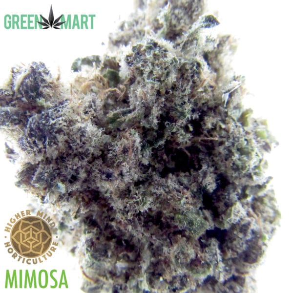 Higher Minds Grown Mimosa