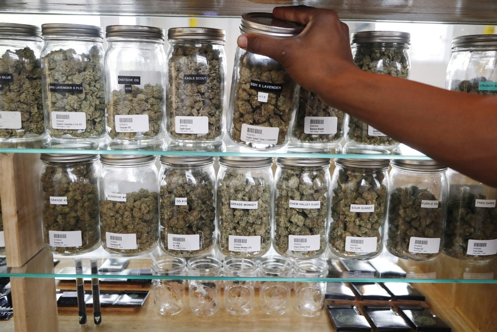 Placing jars of cannabis on shelf.