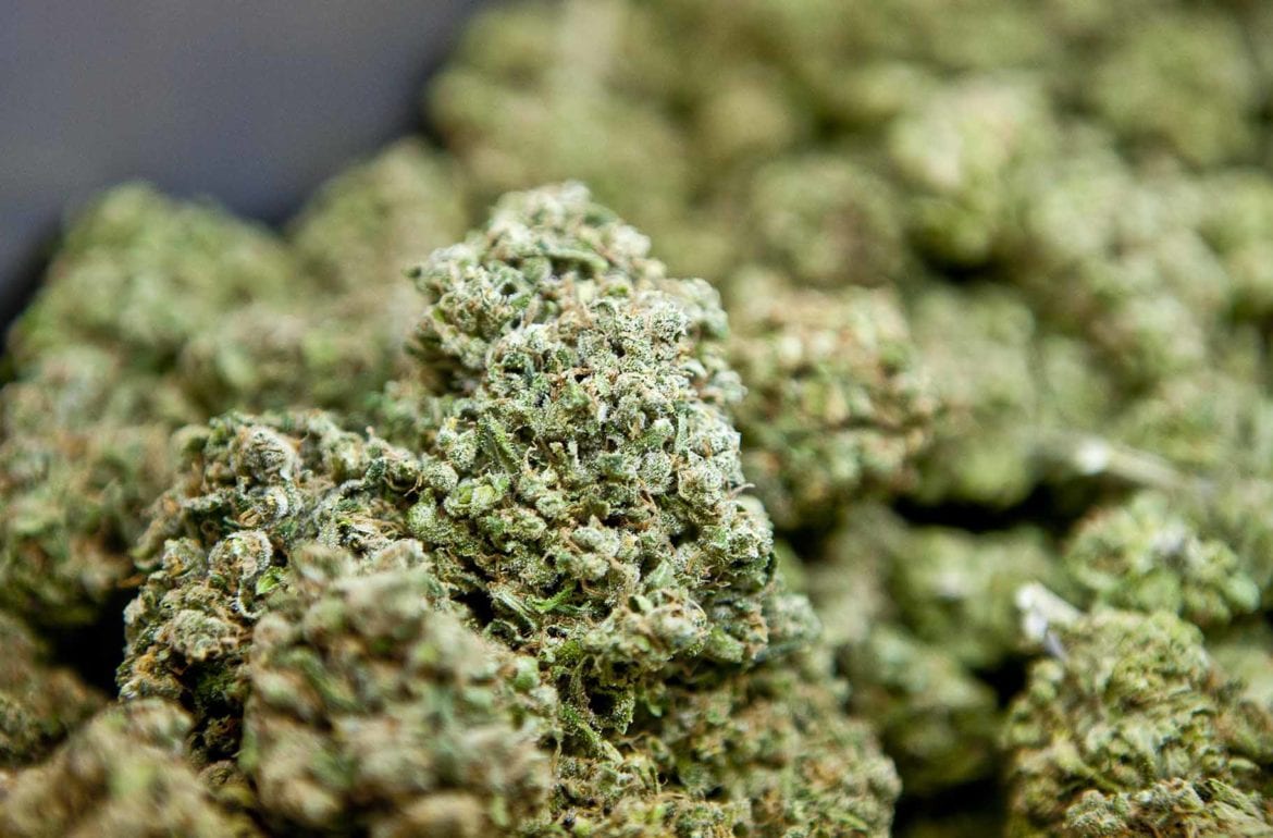 Close-up tight trimmed nugs