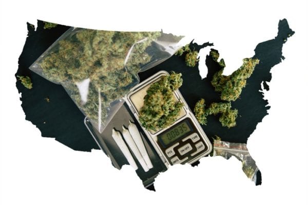 US Import/Export Cannabis