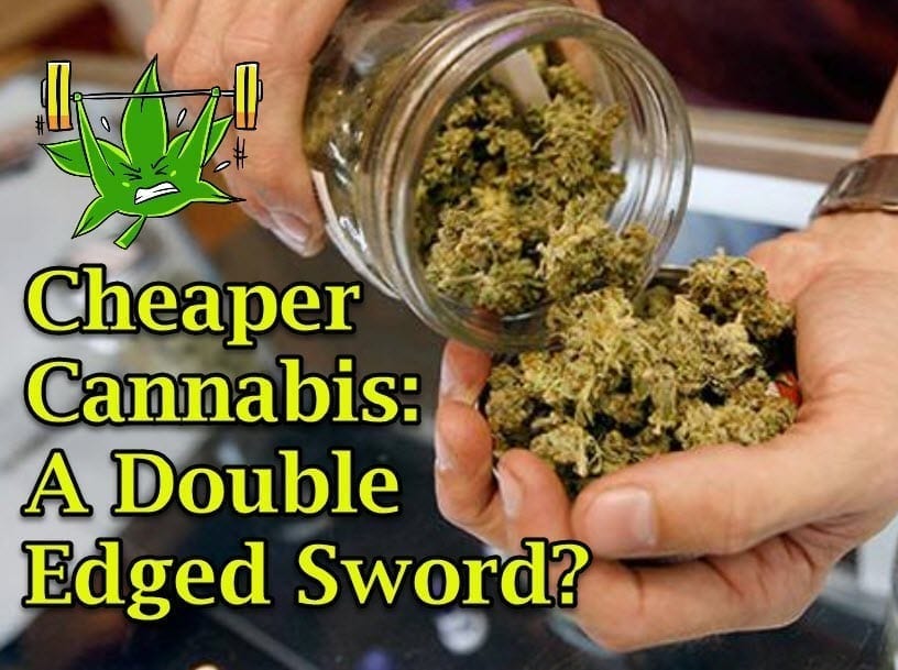 Cheaper Cannabis: A Double Edged Sword?