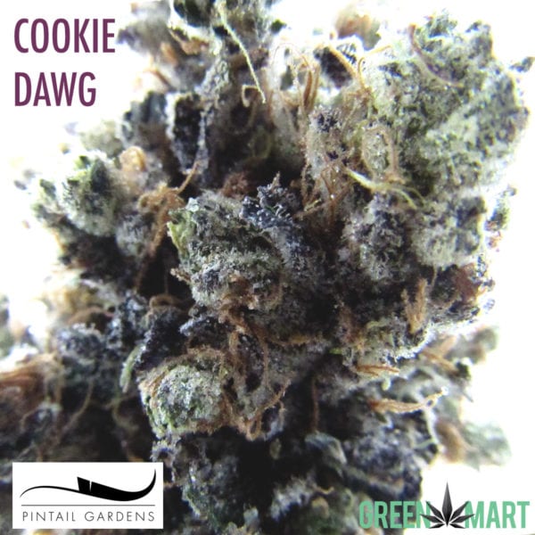 Cookie Dawg by Pintail Gardens