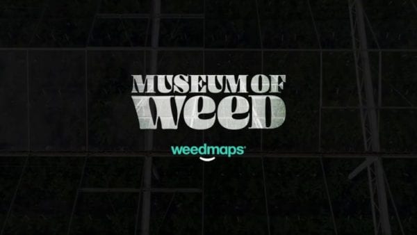 Weedmaps Museum of Weed