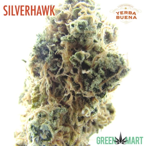 Silver Hawk by Yerba Buena