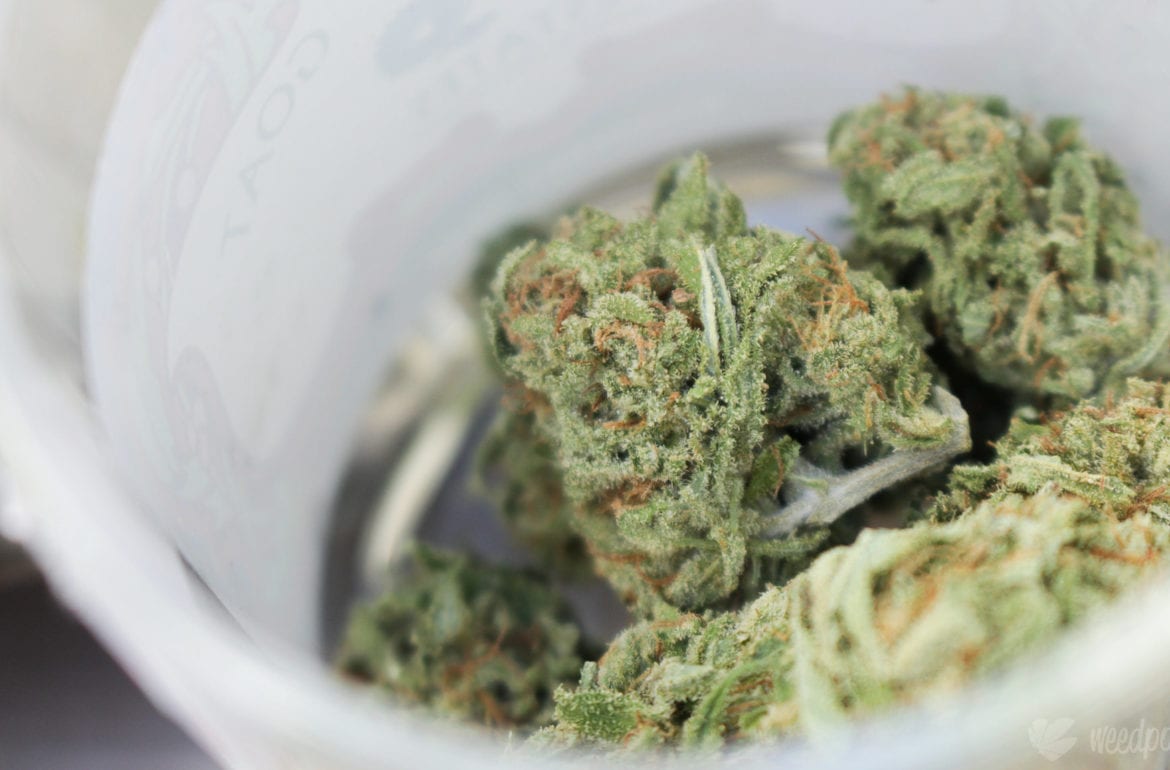 Nugs in a jar, credit: weedporndaily