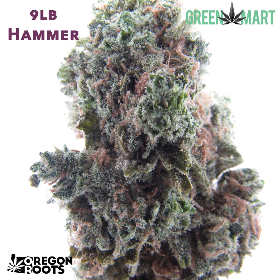 9-pound-hammer-heavy-shake-pre-pack-green-mart-beaverton