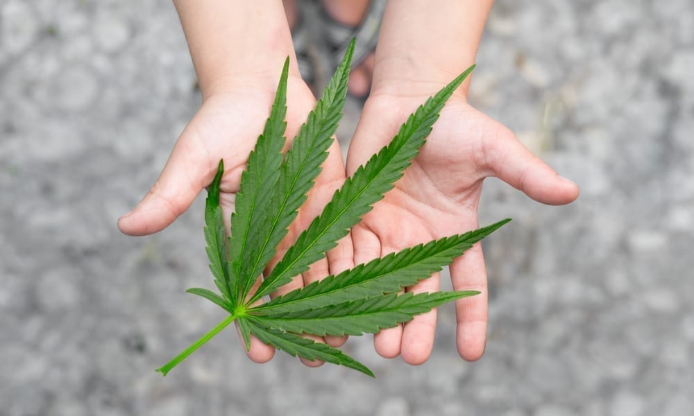New Bill Would Allow Medical Marijuana in New Mexico Schools