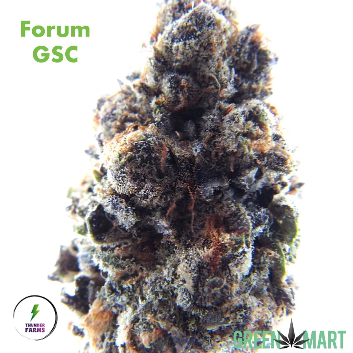 Forum GSC by Thunder Farms