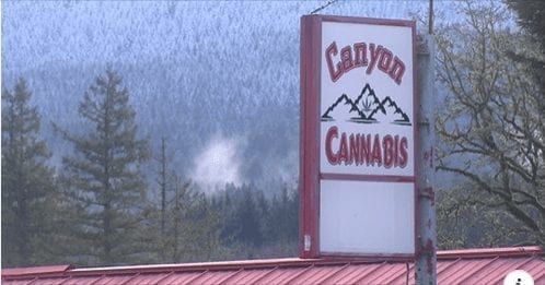 Oregon's small towns revel in weed tax windfall
