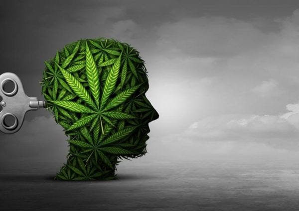Why Does Cannabis Affect US All Differently?