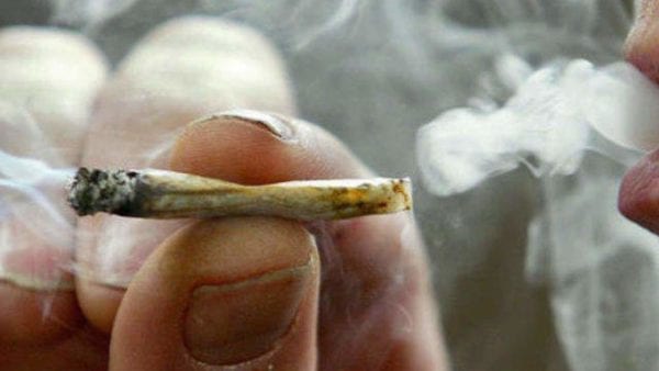 More seniors are using marijuana, studies show