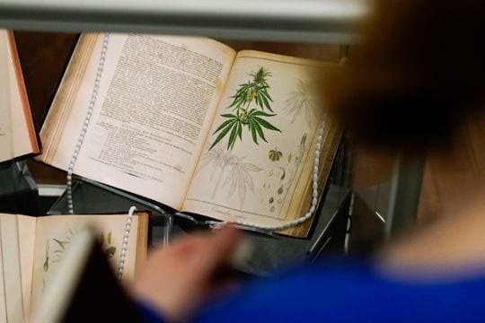 An early 1860s German pharmaceutical manual featuring cannabis at "Through the Rx Bottle," a history of medicinal cannabis at the Lloyd Library and Museum. (Photo: Ryan Terhune / The Enquirer)
