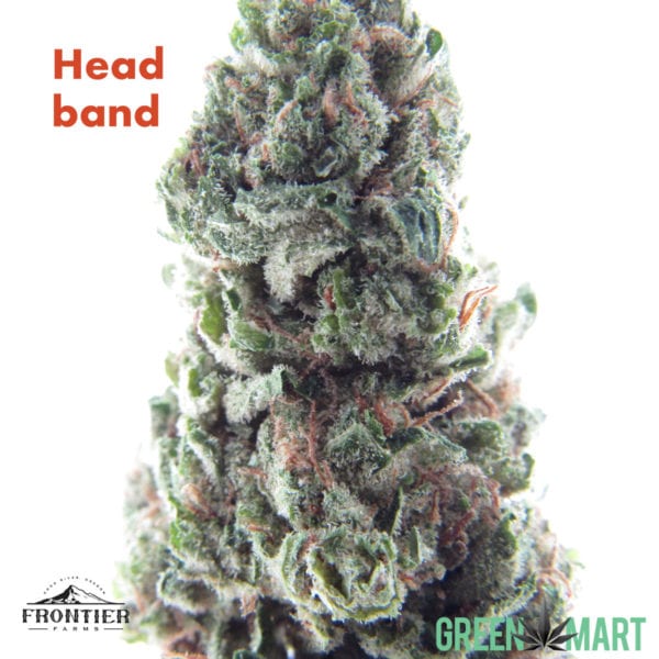 Headband - Frontier Farms