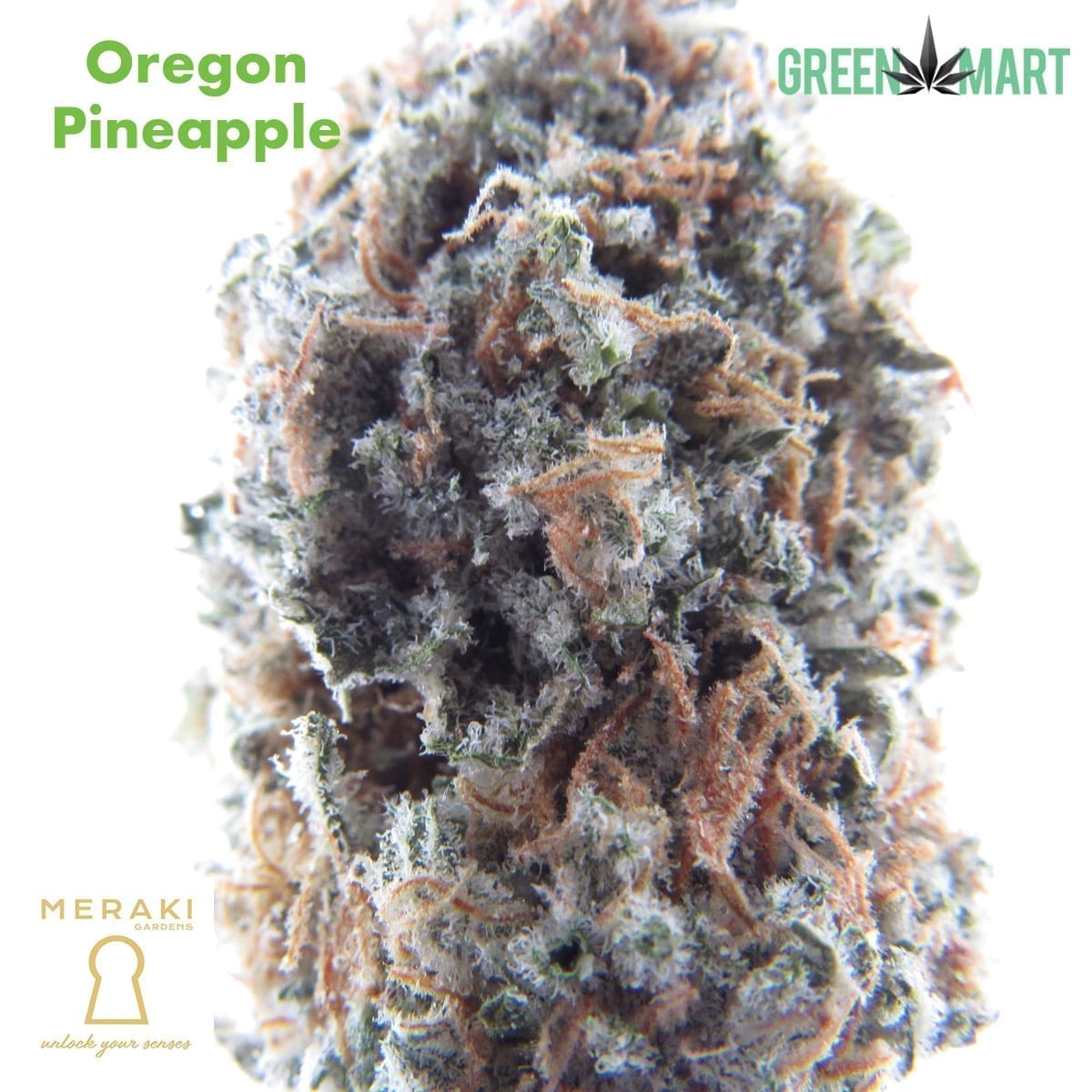 Meraki Gardens - Oregon Pineapple