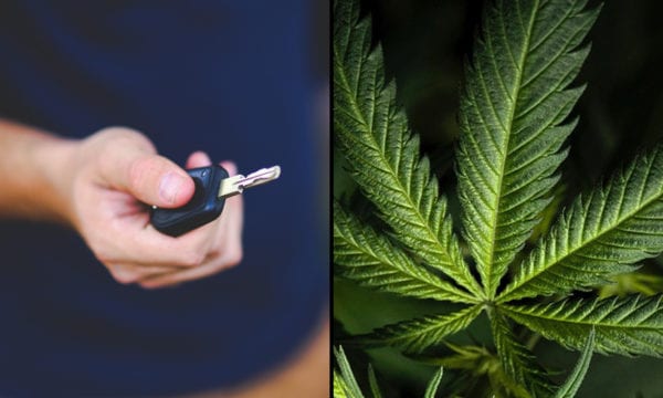 Marijuana Legalization Not Linked To Increased Traffic Deaths, Study Finds