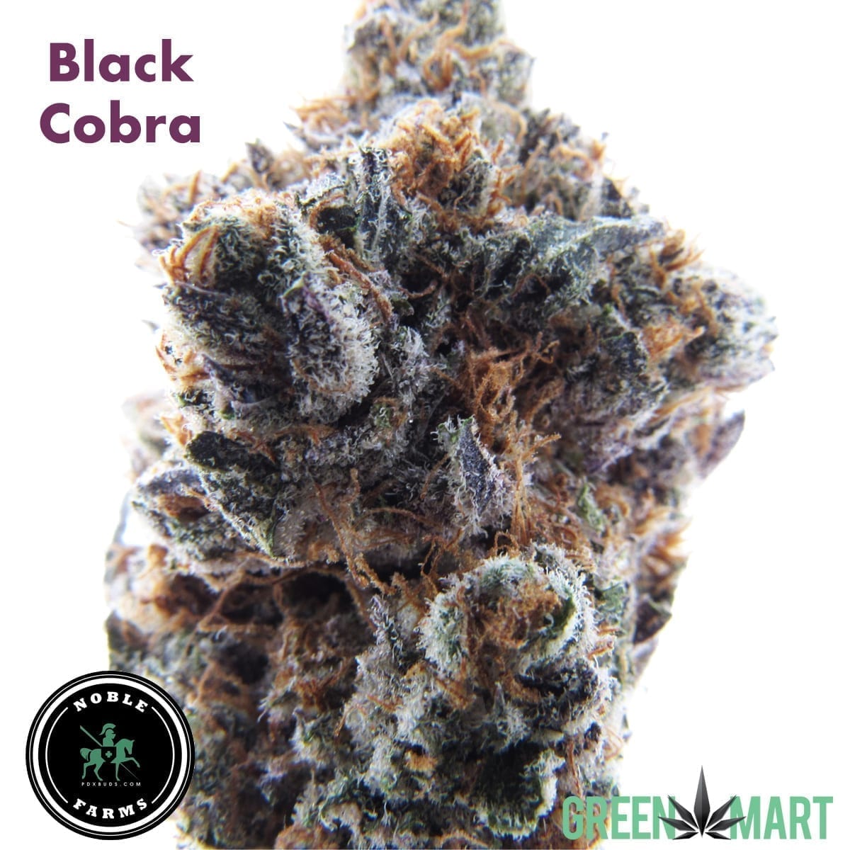Black Cobra by Noble Farms