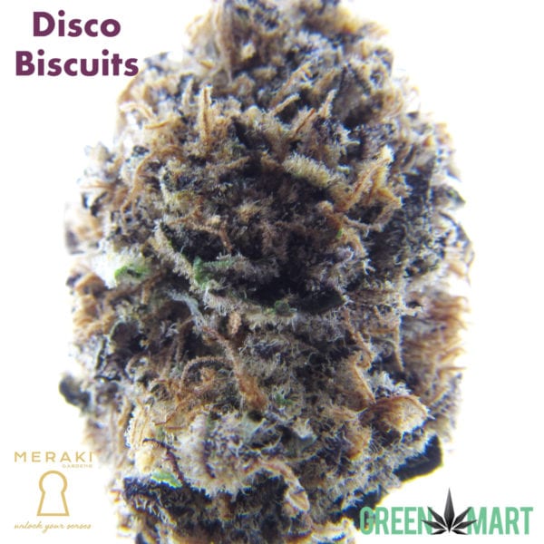 Disco Biscuits by Meraki Gardens