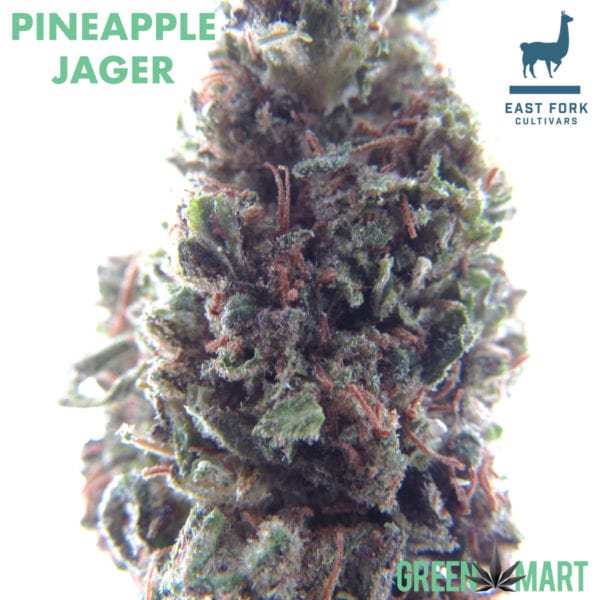 PINEAPPLE JAGER Grown By East Fork Cultivars