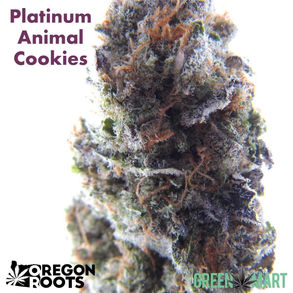 Platinum Animal Cookies by Oregon Roots