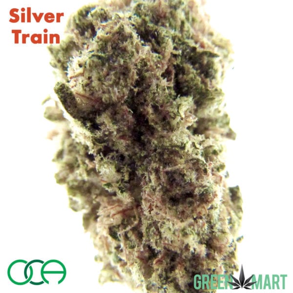 SilverTrain grown by OCA