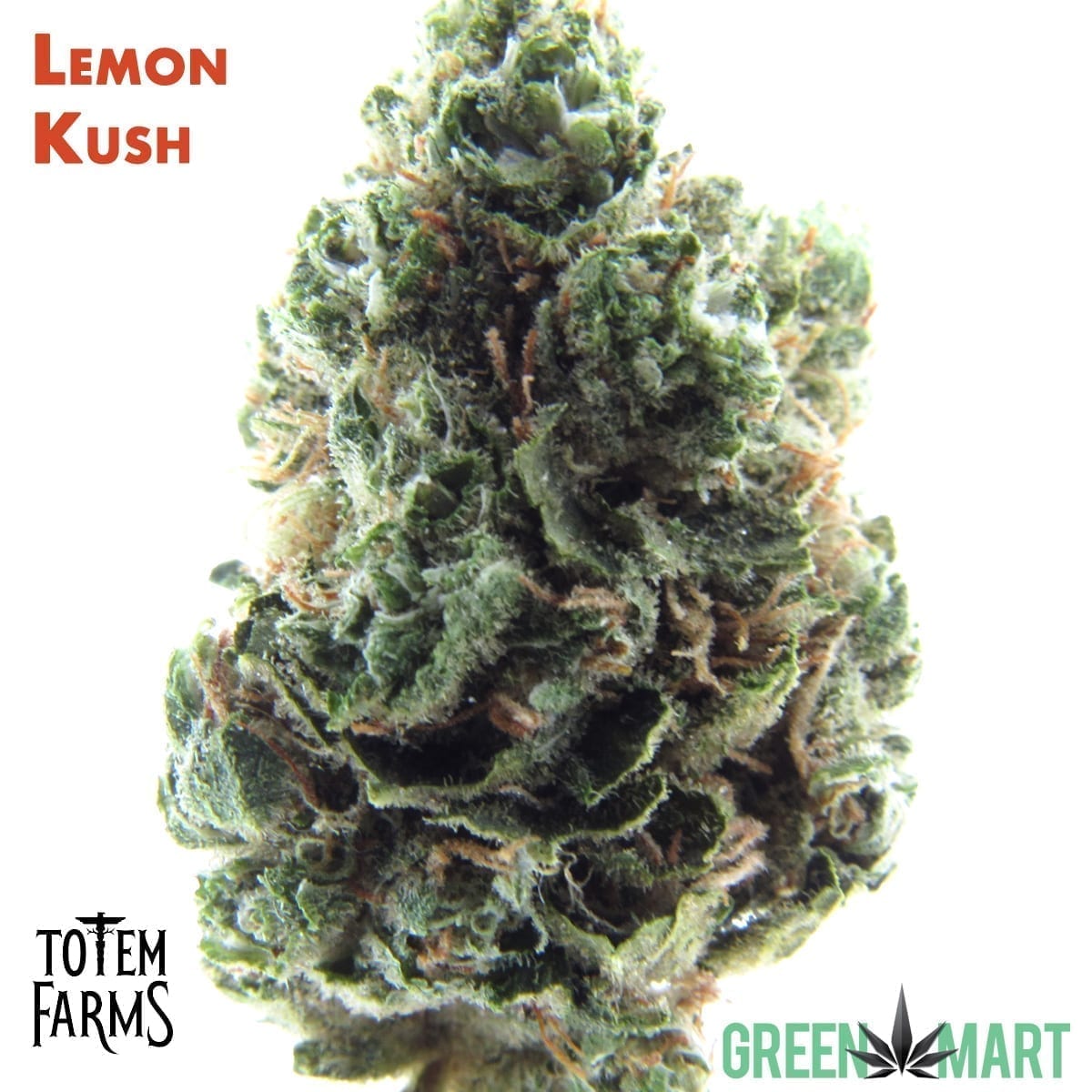 Lemon Kush by Totem Farms