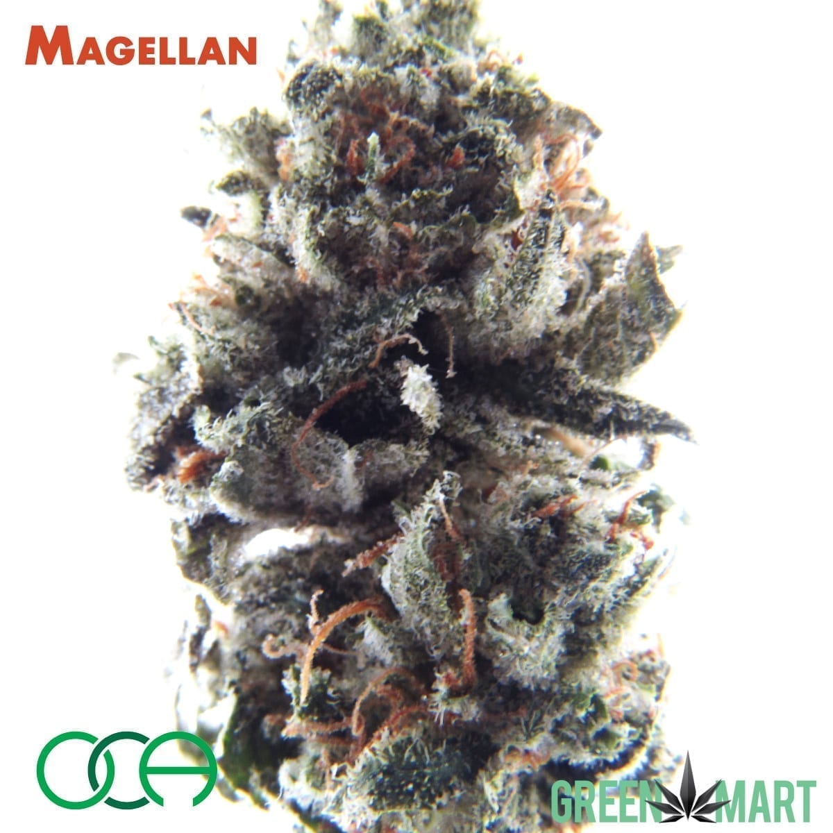 Magellan by Oregon Cannabis Authority