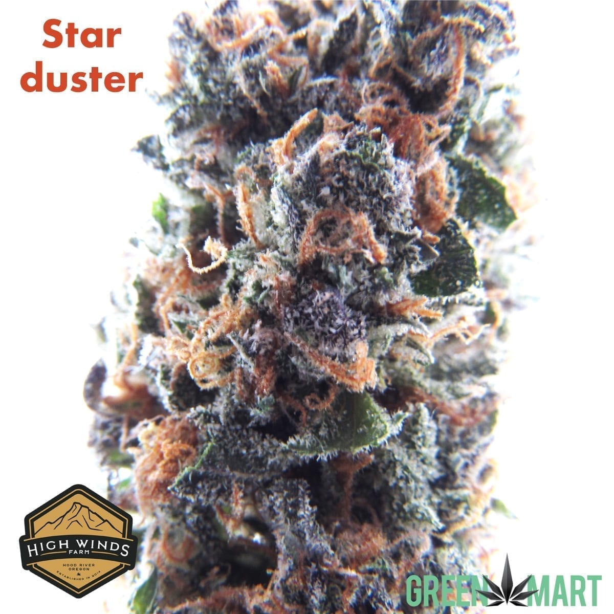 Starduster by High Winds Farm