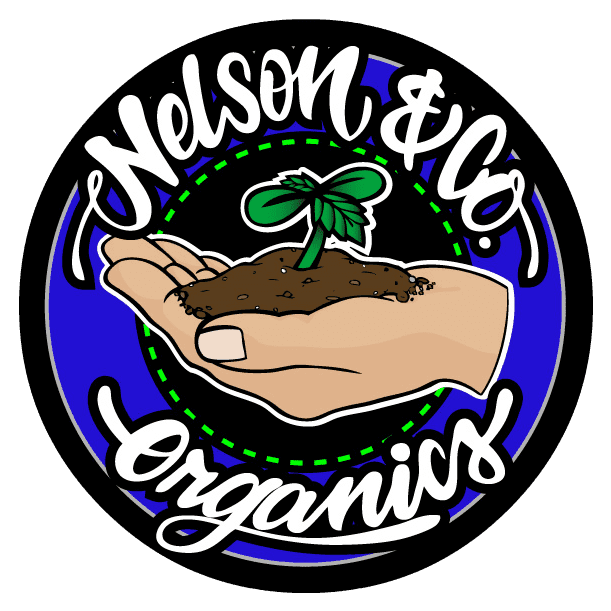 Nelson and Co Logo